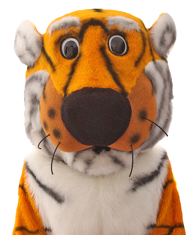 A photo of Truman the tiger