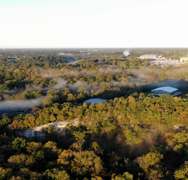 An Aerial shot of the woods